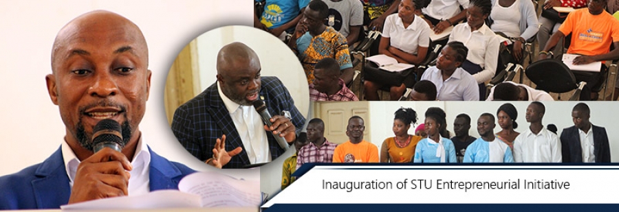 STU Entrepreneurial Initiative - BEDEFU
